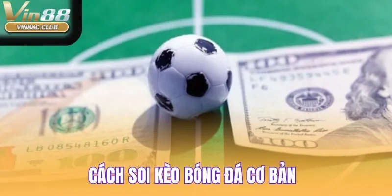 Cách soi kèo bóng HDP nổi bật tại địa chỉ uy tín